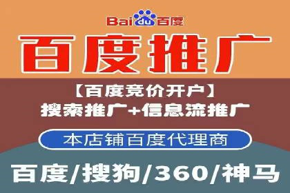 成功运用SEM服务实现品牌快速成长的案例